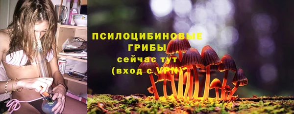 ECSTASY Алексин